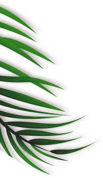 shape-1