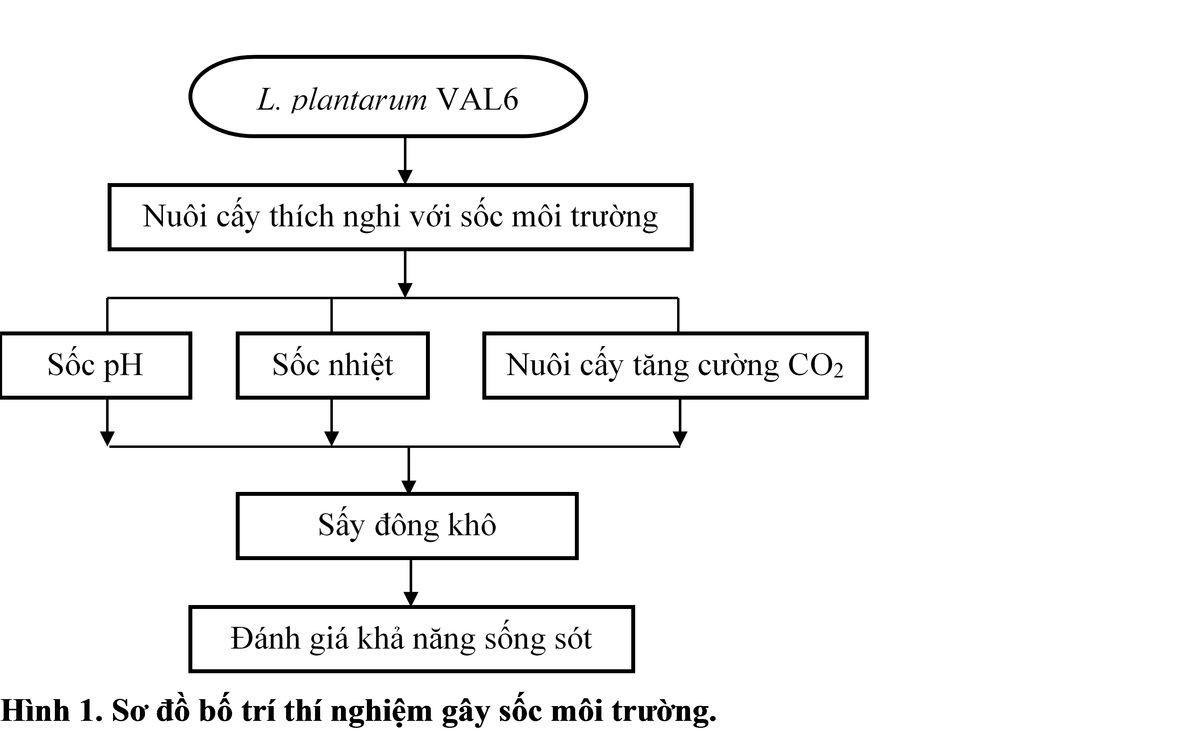 anh1-19.png