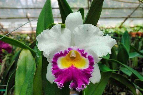 image1-1630895145-871-width600height400-31.jpg