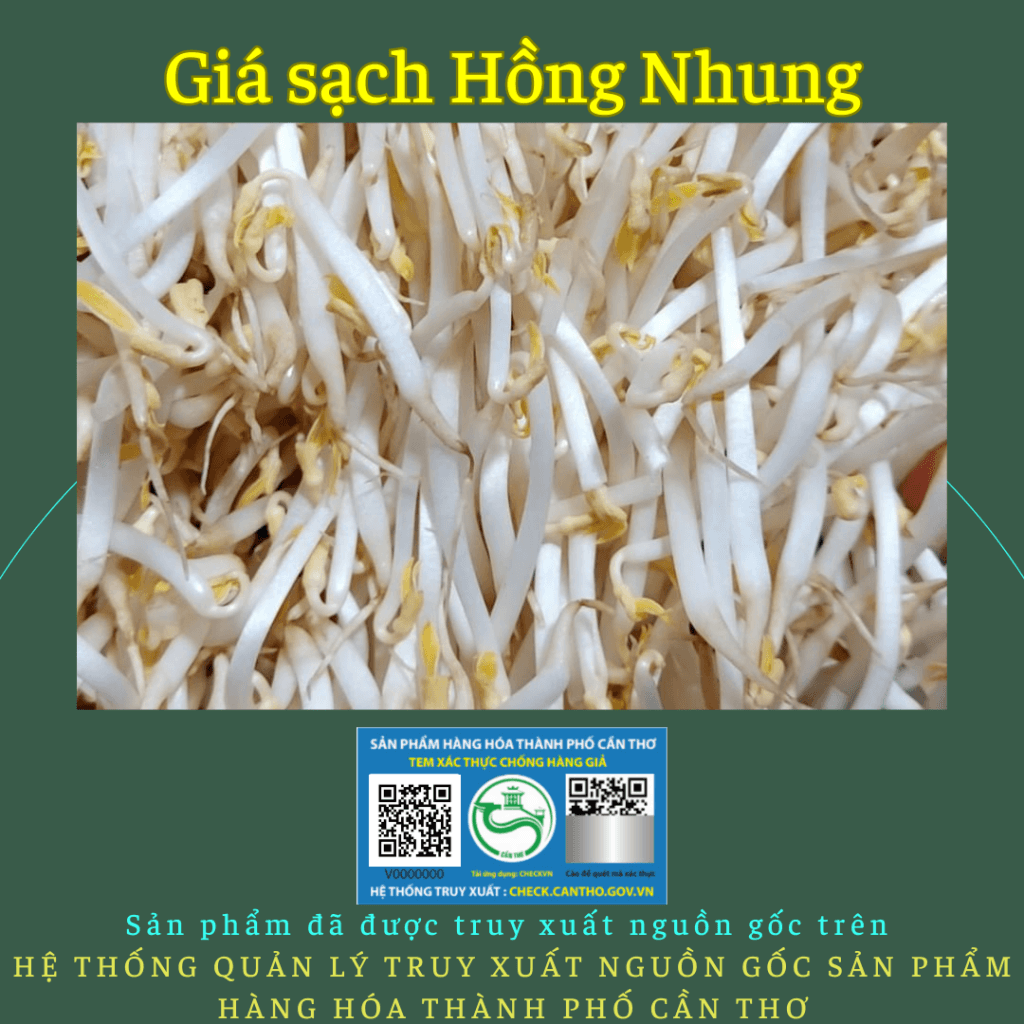 Gia-sach-Hong-Nhung-1024x1024-35.png